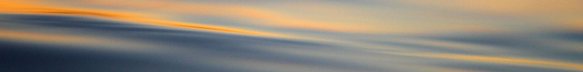 banner image